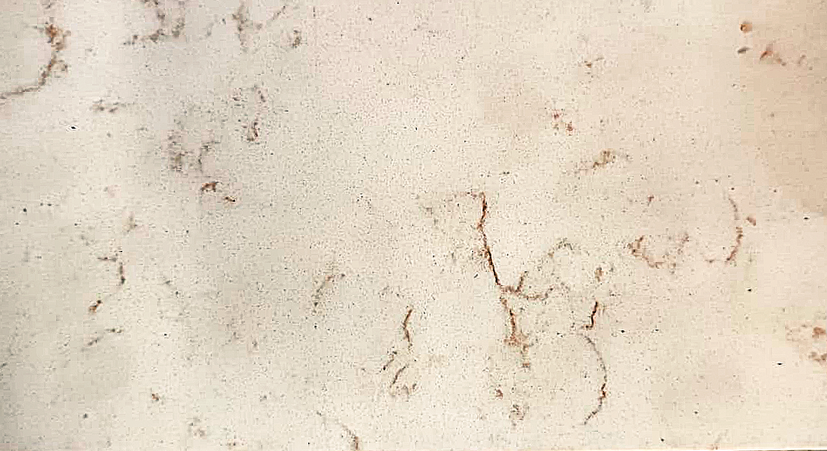 Quartz Countertop Stone